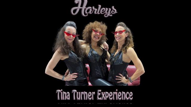 Tina Turner | harleys trio Tina Turner